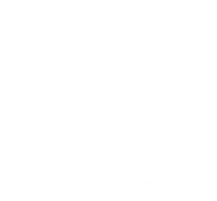 Falcons University Logo