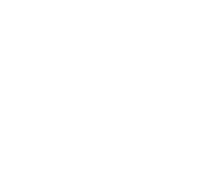 Falcons University Logo